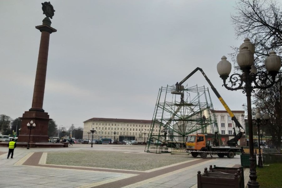 На площади Победы начали монтировать новогоднюю елку (фото)