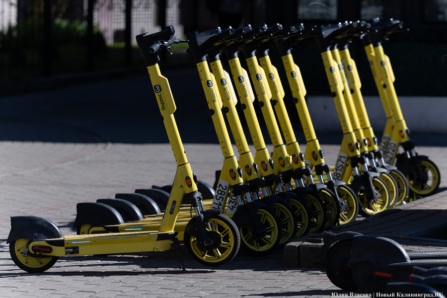 Яндекс Go заявил о старте сезона самокатов в Калининграде