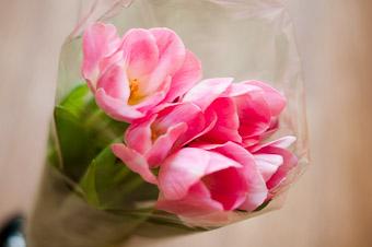 Правительство пообещало калининградцам к 8 марта тюльпаны местного производства