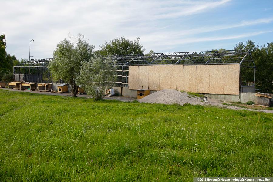 Естественный отбор: что творится за забором Службы защиты животных (фото)