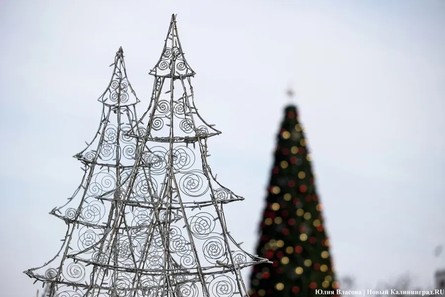 Мэрия решила купить новую новогоднюю елку «после многочисленных обращений»