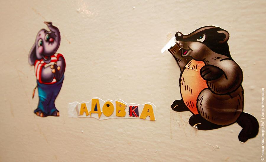 "Неизменная космическая чистота": фоторепортаж "Нового Калининграда.Ru"