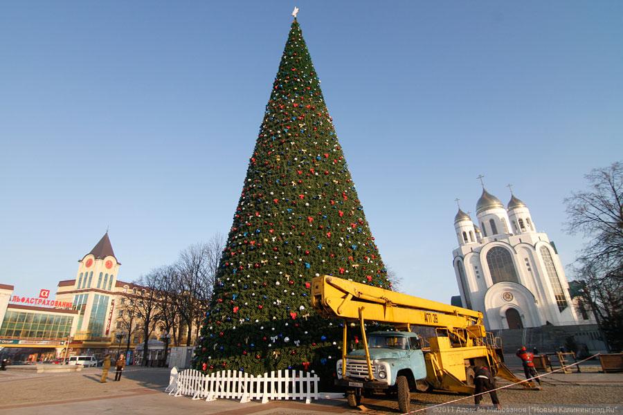 "Много на ёлочке шариков цветных": фоторепортаж "Нового Калининграда.Ru"