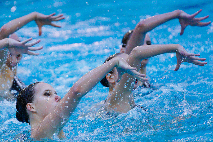 В Калининграде проходит Кубок России по синхронному плаванию. Вот как это выглядит (фото)