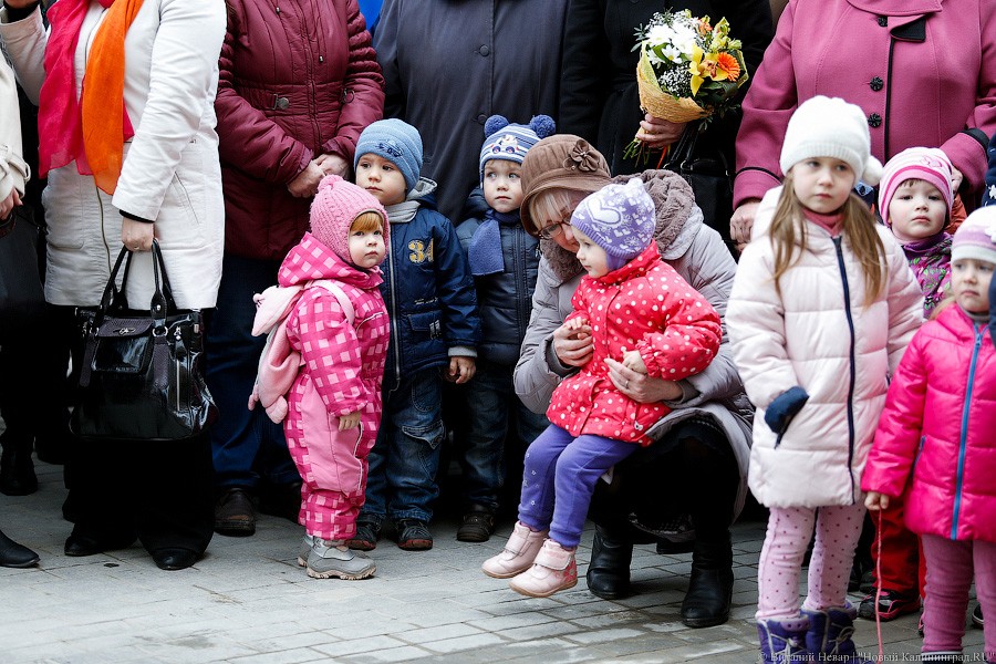 Воищев предложил места в детсадах и школах Советска жителям других муниципалитетов