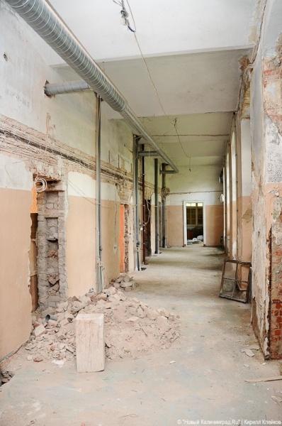 "Инфекционные горизонты": репортаж "Нового Калининграда.Ru"