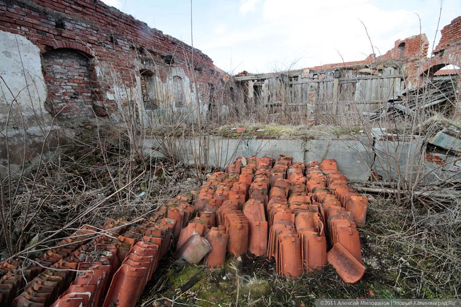 "Георгиенбург" - на обочине перемен": фоторепортаж "Нового Калининграда.Ru"