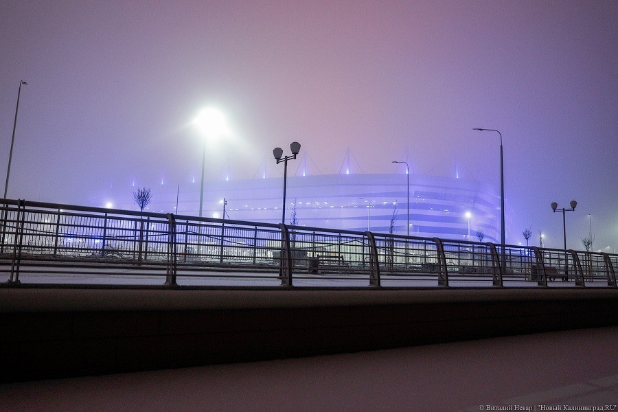 Областные власти заказали сайт для стадиона «Калининград» за 180 тысяч рублей
