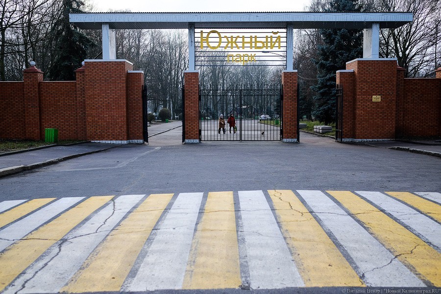 В Южном парке хотели бы вернуть «отрезанную» под строительство цирка территорию