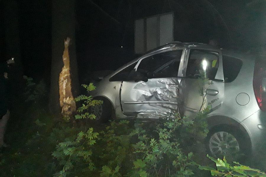 Под Светлым авто вылетело на встречную, затем в лес и врезалось в дерево (фото)