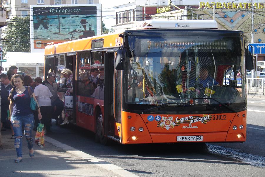 Два в одном: как в Калининграде автобусы маршруты делили