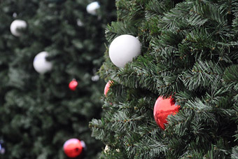 Депутаты Госдумы предлагают сократить зимние каникулы