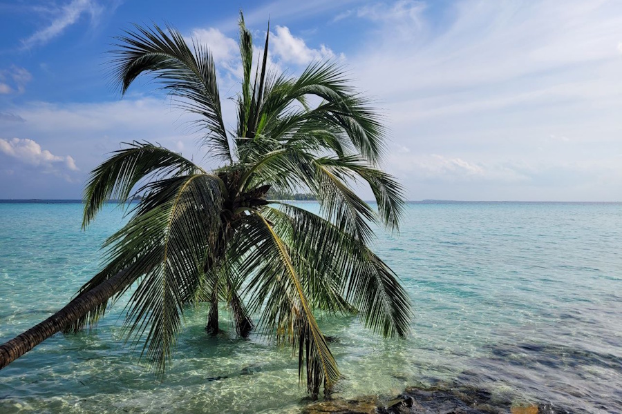 «Билайн» расширил зону роуминга до 218 направлений