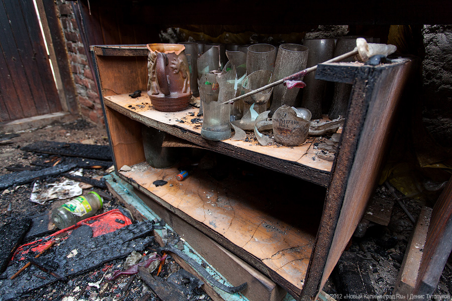 «Шаакен, волонтеры и кот Воровай»: фоторепортаж «Нового Калининграда.Ru»