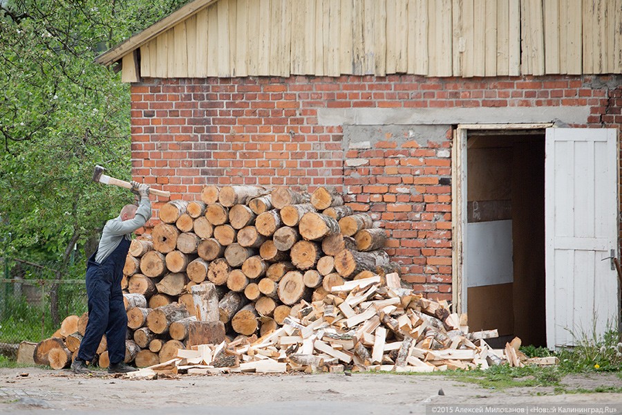 Город Веры, Надежды, Любви: зачем ехать в Багратионовск