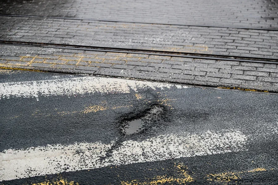 Контракт на содержание дорог в Калининграде получила фирма депутата Горсовета