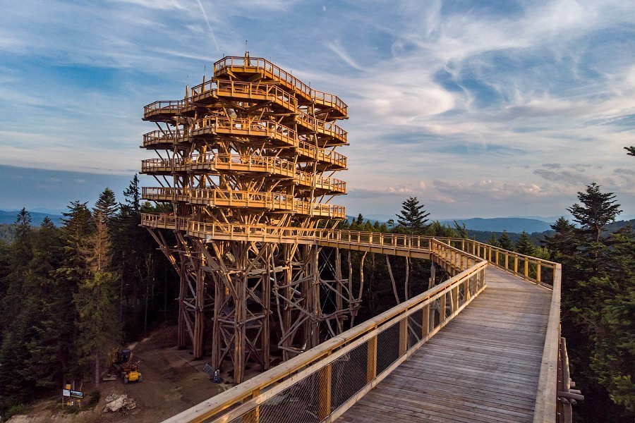 В Польше построили для туристов деревянную смотровую башню высотой 50 м (видео)