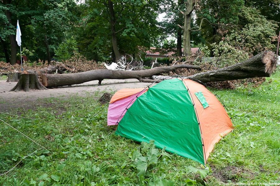 Пила vs. палатка: фоторепортаж "Нового Калининграда.Ru"