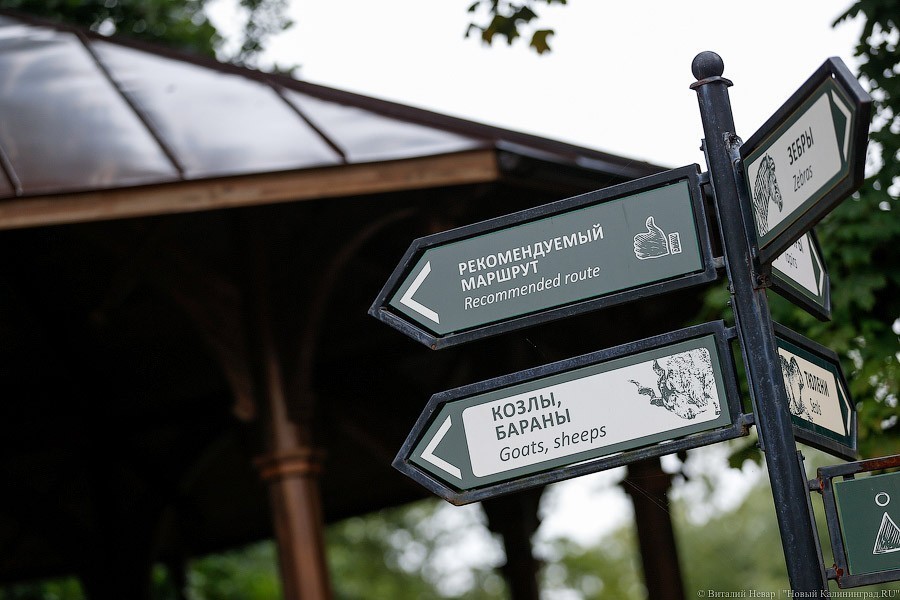 Зоопарк и «Фридландские ворота» хотят набрать волонтёров-пенсионеров