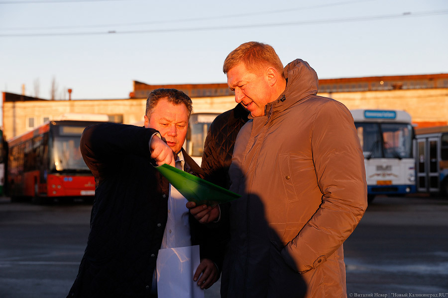 «Сделав шаг»: в Калининграде появились новые низкопольные автобусы (фото)