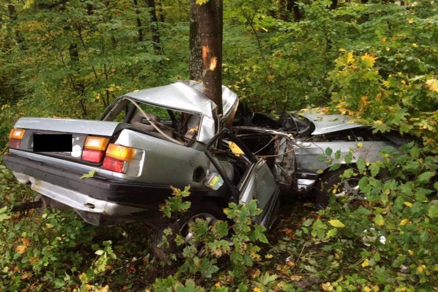 Под Гурьевском пьяный водитель на «Ауди» врезался в дерево, погиб человек (фото)
