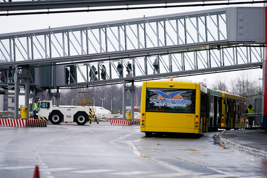 «Жемчужина Балтики»: как выглядит самолёт «Победы» в честь Калининградской области