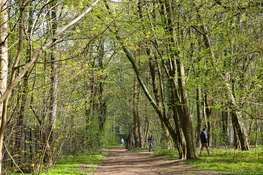 Власти оценили достройку ул. Юбилейной до Невского в 235 млн рублей