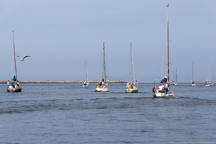 В поисках ветра и буев: как прошла офшорная парусная регата в Балтийске