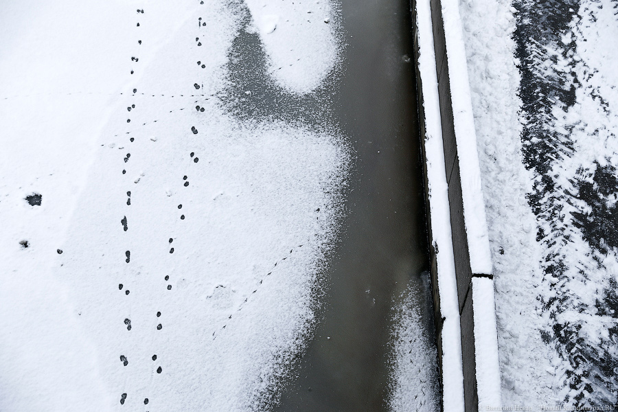 В Гвардейске водолазы ищут тело 6-летнего ребенка