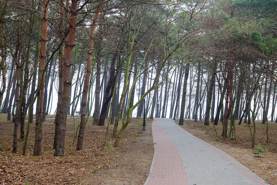 Город сослагательного наклонения: Пионерский в планах и в реальности