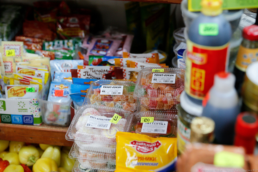 «Куда потом, воровать?»: Калининград на пороге новой палаточной войны