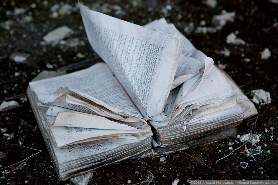 Благоденствие Отечества: военный городок Черняховска в проекте «Пустые дома»