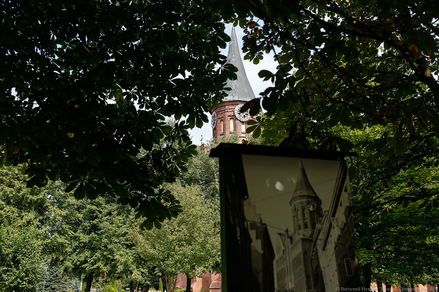 Прогулки по Кнайпхофу: о чём рассказывают новые стенды на острове Канта