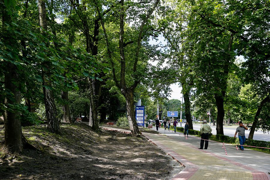 «Водрузить символ энергетики»: зачем перекопали сквер в центре Калининграда