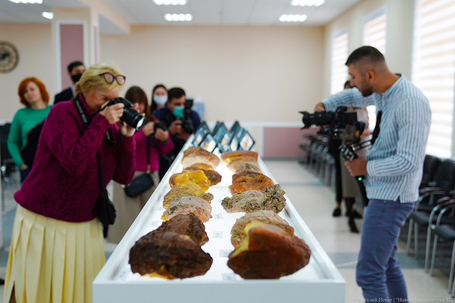 Самородки и инклюзы: янтарный комбинат показал камни, которые выставит на продажу в октябре