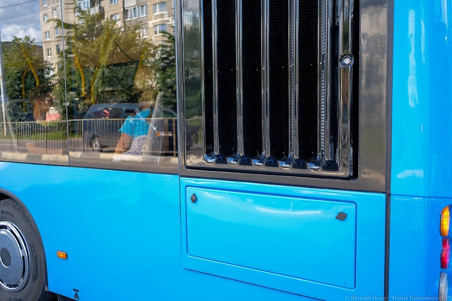 Автобус с розеткой: как в Калининграде испытывают новый вид транспорта