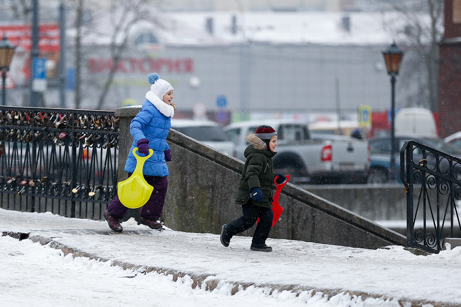 Дятлова: далеко не везде в Калининграде можно использовать спецтехнику для уборки тротуаров