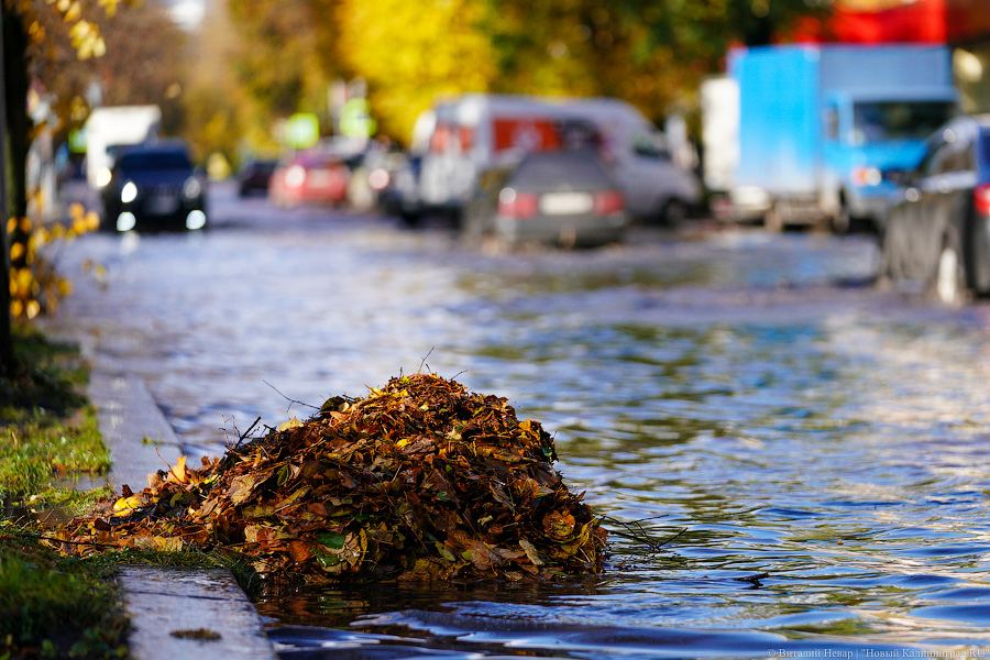 Другой берег улицы: Калининград затопило после шторма (да, опять)