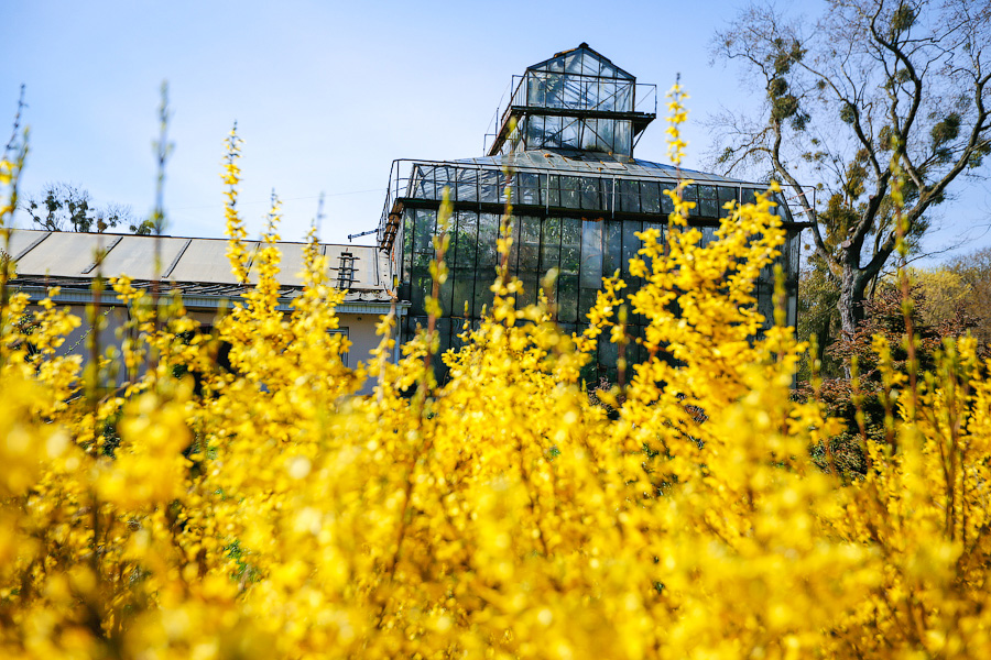 Пастораль ручной работы: весенний Ботанический сад