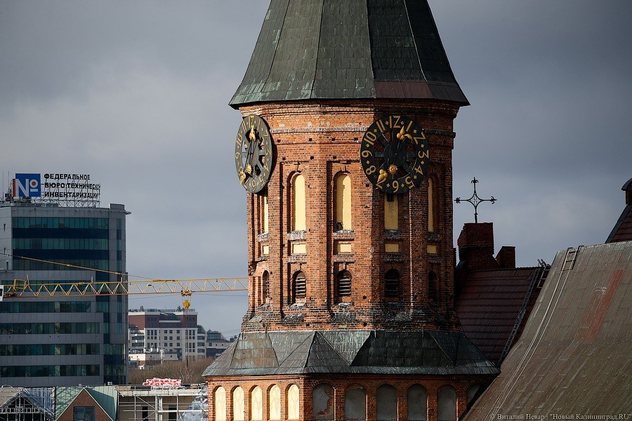 Февраль-2020 стал самым теплым в Калининграде за последние 30 лет