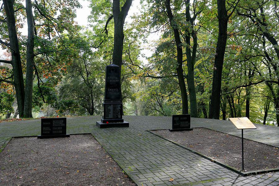 Дошли до Путина: что известно о вандализме на мемориалах в Калининграде