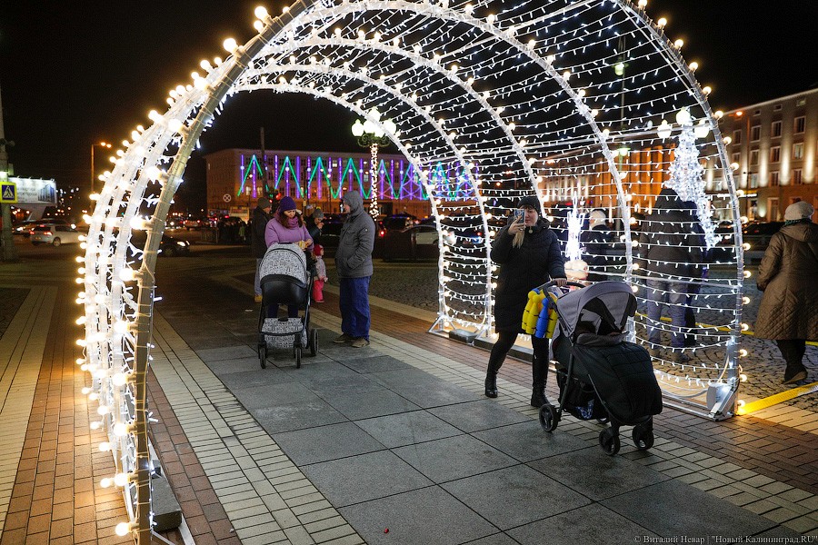 Открути оленю ушко: центр Калининграда украсили к Новому году (фото)