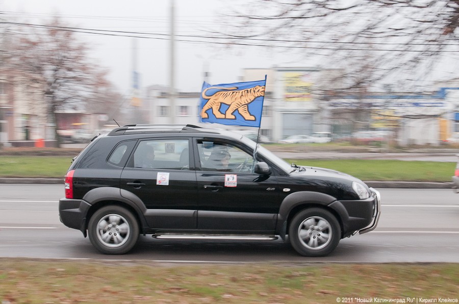 «Как автомобилисты с ценами боролись-2»: фоторепортаж «Нового Калининграда.Ru»