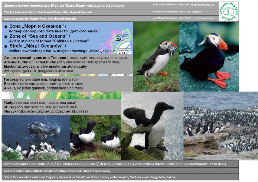 Светлана Соколова: реконструкция зоопарка будет длиться всю жизнь