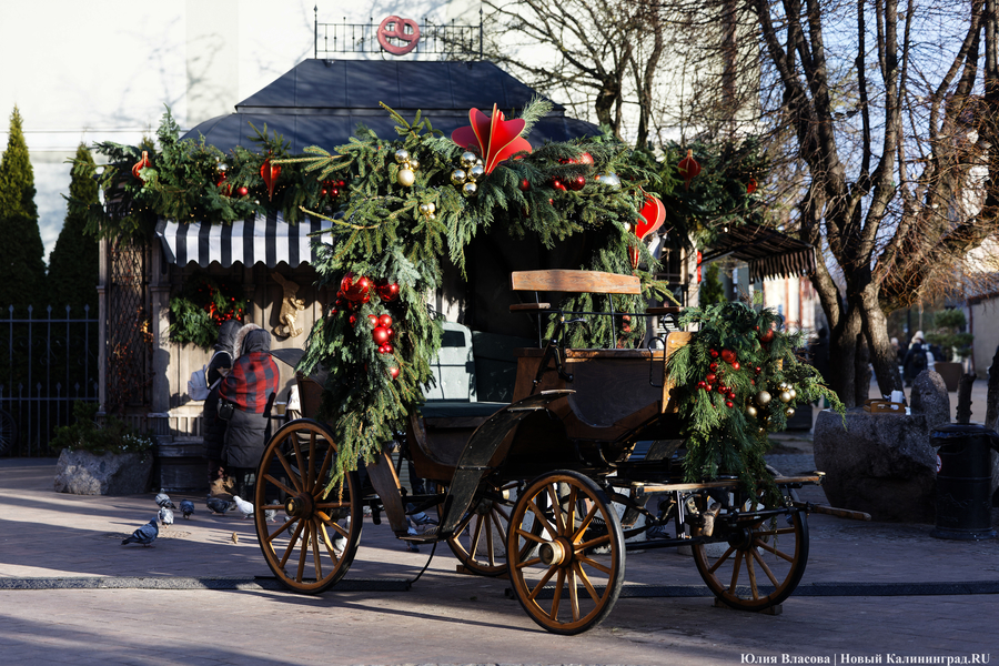 В царстве огненной лошади: как украсили Зеленоградск к Новому году (фото)