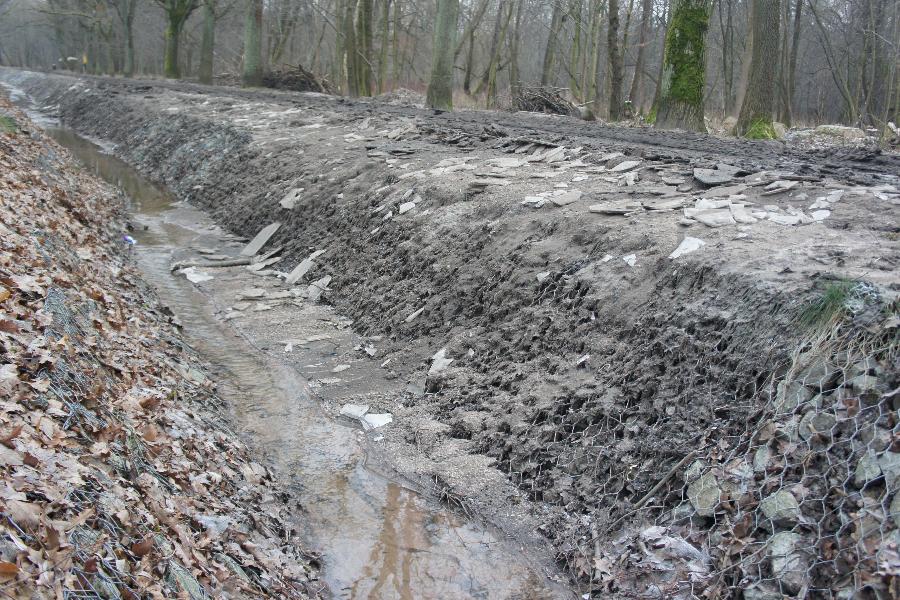 Фото — Максим Корончик, «Новый Калининград».
