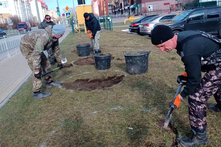 Фото: сайт Зеленоградского муниципального округа
