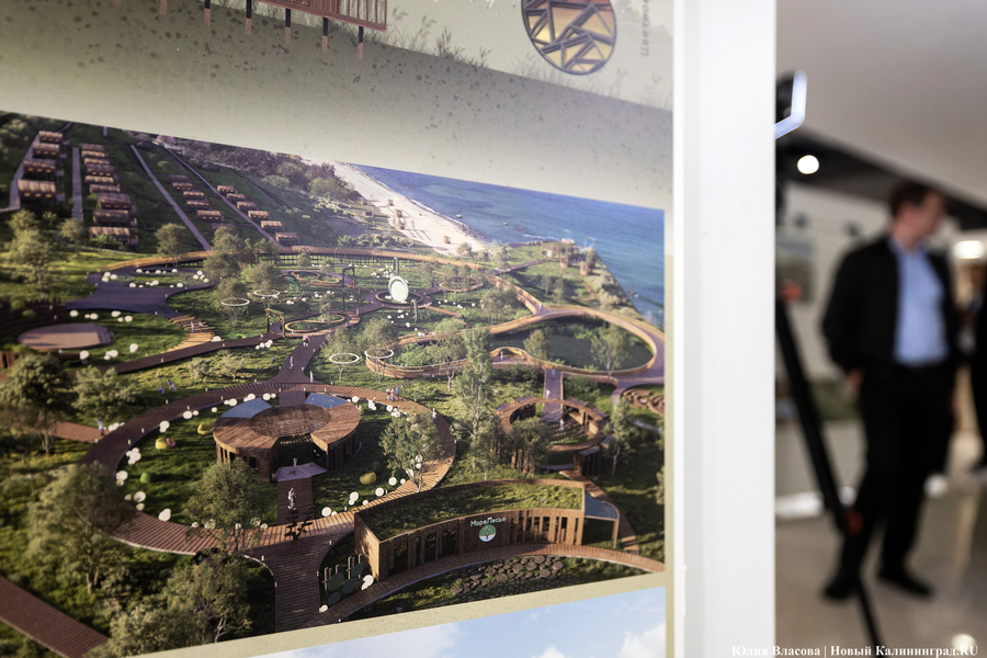 «Гнёзда» на Филинской бухте: проект из Москвы получил первую премию «ЭкоБерега» (фото)