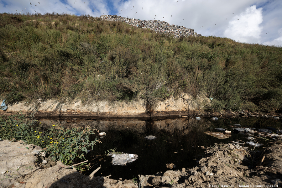 «Стихией управлять не научились»: как глава Минприроды РФ понюхал воздух в Круглово (фото)