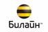Завершилась интернет-конференция с директором "Билайн" в Калининграде Сергеем Лихобабиным